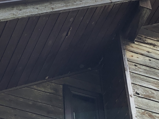 福島県耶麻郡北塩原村の別荘で、キツツキによって壊れた外壁や軒裏を火災保険申請した事例